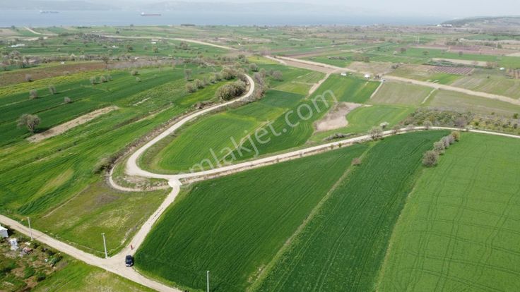 Boğaza Nazır Kupon Arazi Yol Su Elektirik Mevcut Musaköy