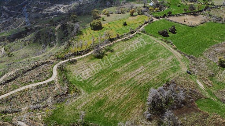 Çanakkale Merkez Ulupınar Köyünde Yola Cepheli Köye Yakın Tarla