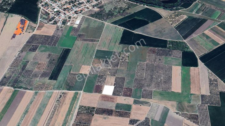 Expert'ten Karacabey Sultaniye'de Satılık 2.950 M² Tarla