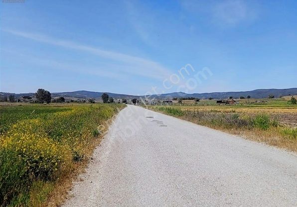Golden Globy, Balıkesir Karesi Kocaavşar'da Satılık 3,5 Dönüm Düz Ve Verimli Tarla