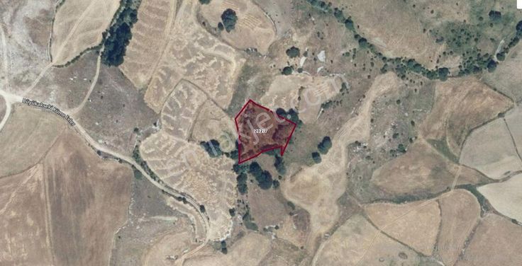 Çankırı Yapraklı Büyükakseki, Eldivan Saray (2.236m2 Ve 325m2)