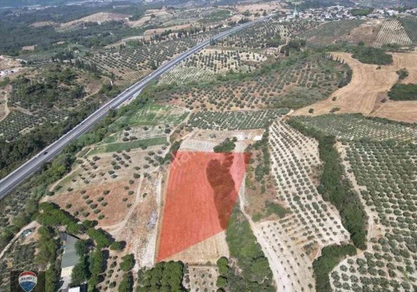 Kuşadası Yaylaköy'de 8 Dönüm Fırsat Tarla