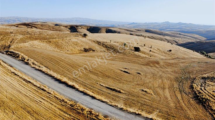 -*-teberik De Yol Kenarı Düzlük Te Kök Tapu Tarla-*-