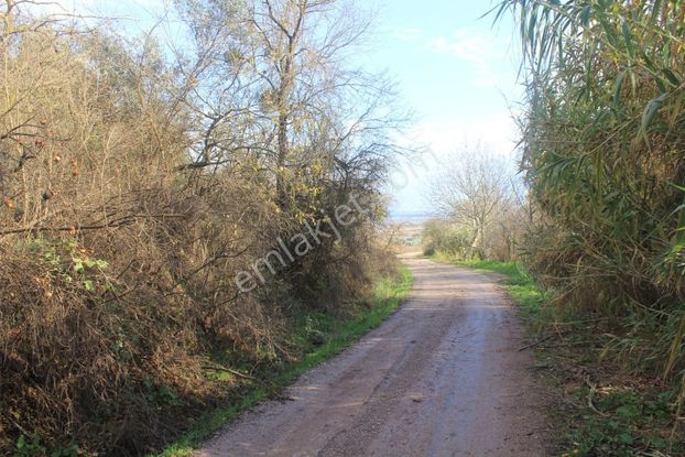 Karacabey Danişment'te Yola Cephe 2600 M2 Yatırımlık Tarla