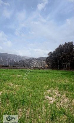Fırsat Gökovada Satılık Tarla