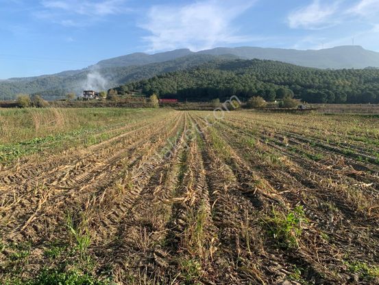 My Home Gayrimenkul'den Tire Büyükkale Mah.de Satılık Tarla