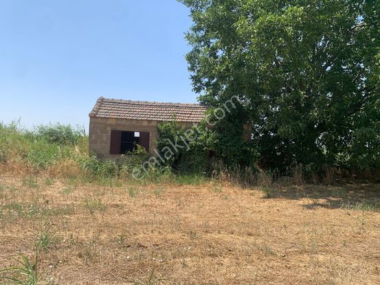 My Home Gayrimenkul'den Bayındır Pınarlı Mah.de Satılık Tarla