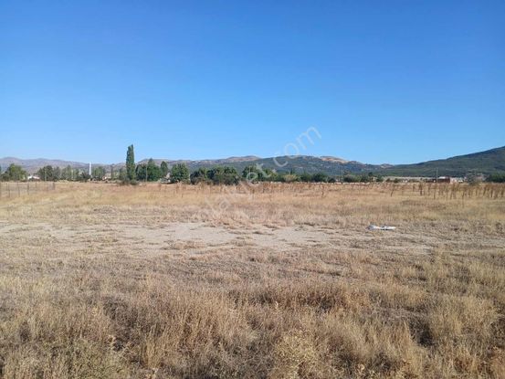 Duru Group'dan Sinanpaşa Ahmetpaşa Da Satılık 2396 M2 Arsa !