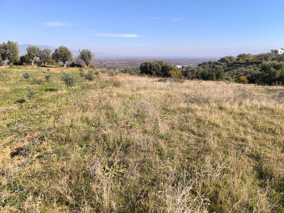 Manisa Sehzadeler Karaoğlanlı'da 1400m2 Tarla 1.150.000tl