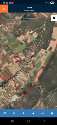 Tekirdağ Saray Yuvalı'da Tek Tapu 43 Dönüm Arazi