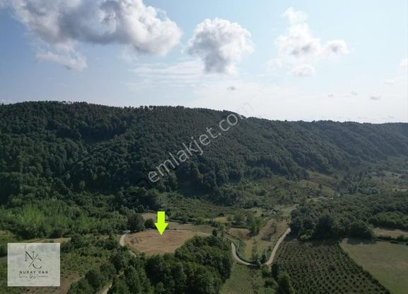 Sinop,balıfakı'da 8 Dönüm Satılık Tarla