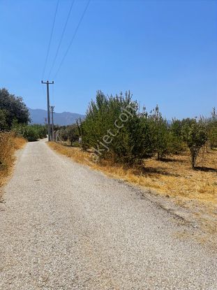 Kemalpaşa Aşağıkızılcada Harika Konumda Satılık Yatırımlık Arsa
