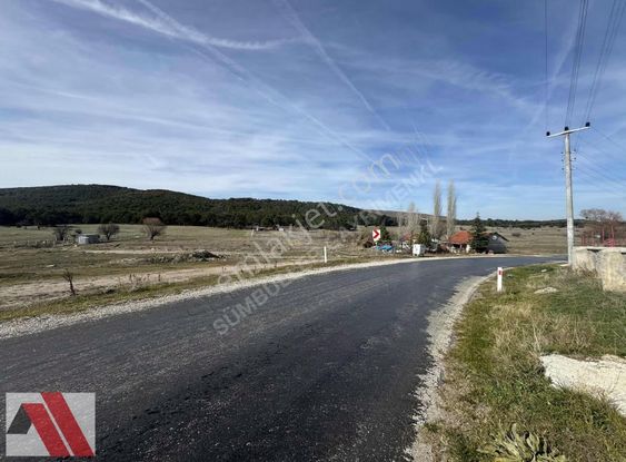 Sümbüller'den Seyitgazi Oynaş Köy İçi 3500 M2 Arsa