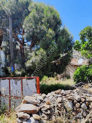 Bozdoğan Kavaklı'da Müstakil Tapulu Kargir Ev | Yatırım Fırsatı