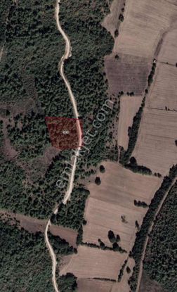 Bm Real Estate Marmaracık'ta 3960 M2 Tek Tapu Tarla