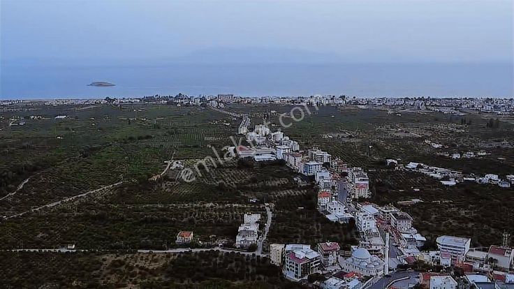 Gümüldür'de,deniz Mazaralı,2.100m2 Müstakil Mandalina Bahçesi