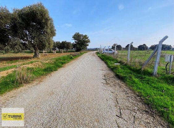 Torbalı&kemalpaşa Otobanı Yanında 262m2 Hisse Tapulu Tarla