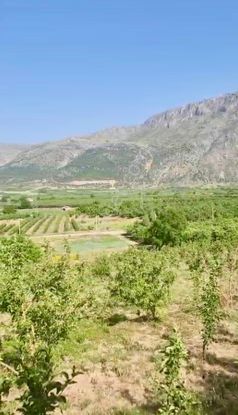 Avcular Emlak Dan Satılık Elma Bahçesi Isparta Gelendost