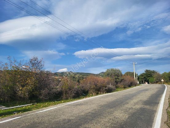 Kazdağları Eteklerinde Asfalt Yol Cepheli Satılık 4000 M2 Tarla