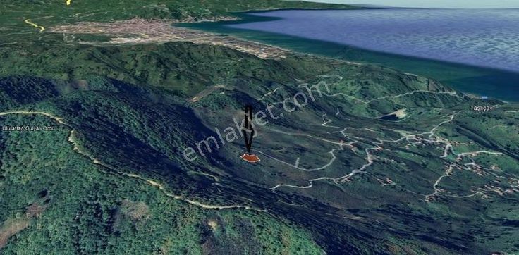 Century21'den Gülyalı Taşlıçay'da Fındık Bahçesi