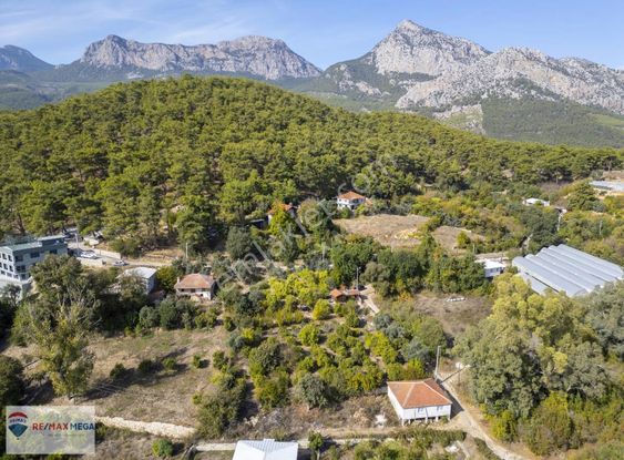 Gökçamda 1853 M2 Narenciye Bahçesi