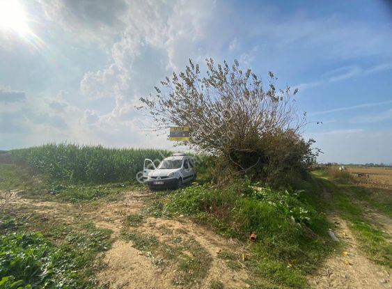 Turpa 360 Dan En Verimli Yerde Satılık Arazi