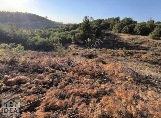 Manisa Osmancalı'ya 1 Km Uzaklıkta 4950m2 Doğa Manzaralı Tarla