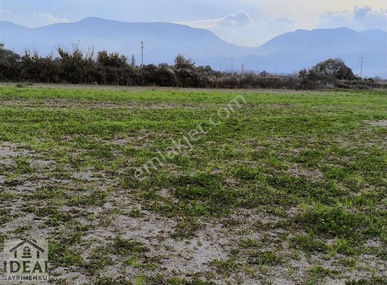 Manisa Yunusemre Yağcılar Köye Yakın 4.100m2tarla 8.500.000tl