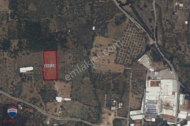 28 İzmir Kemalpaşa 75. Yıl Ören Mh. 6046 M2 Bağ Tarla