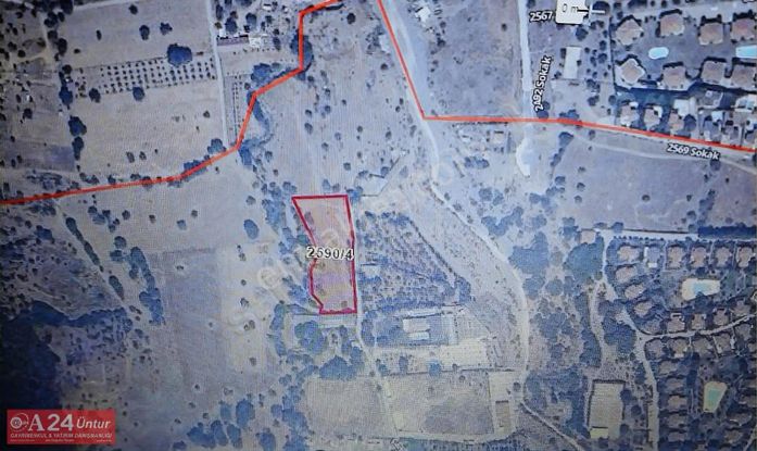 Güzelbahçe Çamlı'da Satılık 4.600m2 Zeytinli Tarla