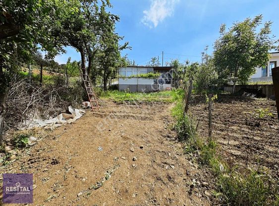 Dağyenice Satılık Arsa