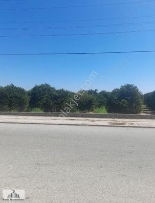 Yenıkoyde 25 Donum Cok Ozel Tarla