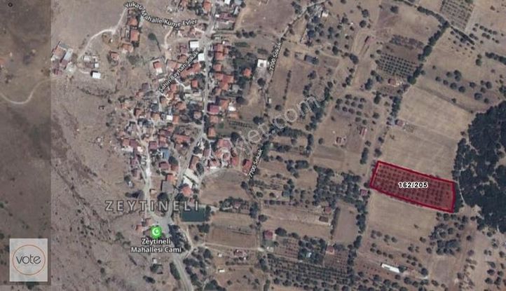 Urla Zeytinelinde, Çok İyi Konum, 5.235m2 Zeytinli Tarla !