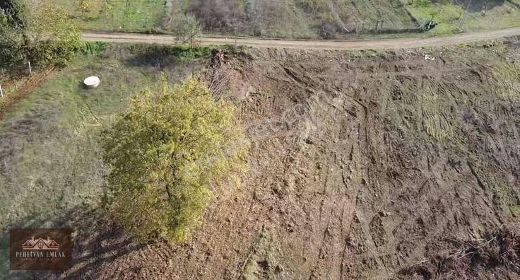 Altınova Geyikdere'de 2550 M2 Yola Cephe Manzaralı Tarla