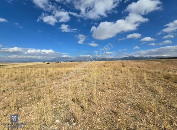 Afyon Dinarda İlçe Merkezi Ve Sanayiye Yakın Satılık Tarla