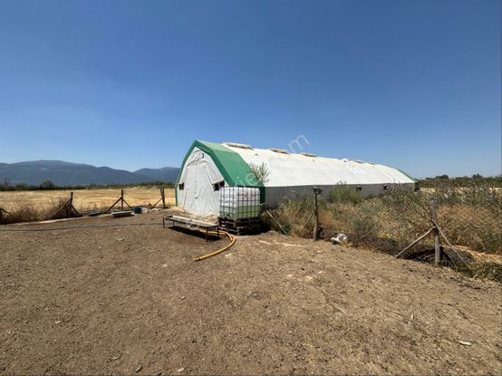 A-k Emlaktan Adzıda 3250 M2 Çadır Besihaneli Satılık Tarla