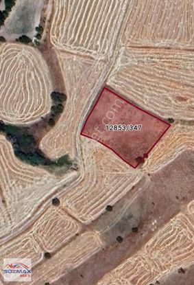 Kocasinan Höbek Yağlıpınar Mevkiinde Satılık 3500 M2 Tarla