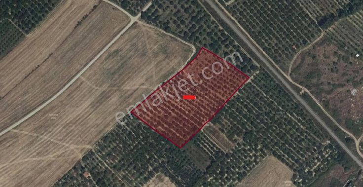 A-k Emlaktan Atakentte Toplam 4069 M2 Satılık Eriklik Tarla