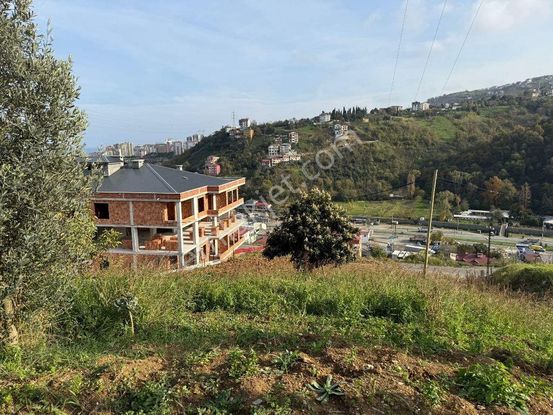 Akçaabat Yaylacık Mahallesinde Satılık 400 M2 Arsa