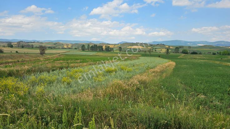 Sahibinden Kastamonu Merkez Göl Emirler Satılık Arsa