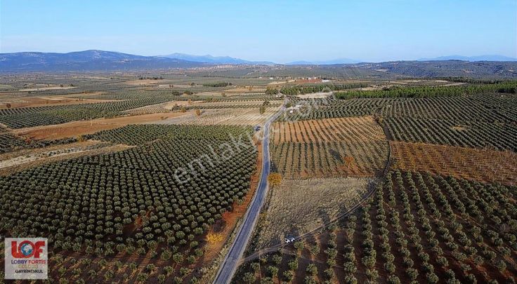 Lobby Fortisten Kale'de 13.450 M2 Tesis Projeli Satlık Zeytinlik