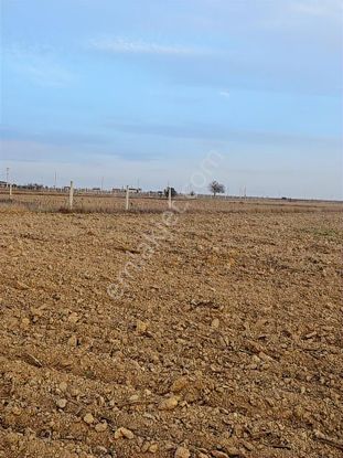 Mehmetoğlu Gayrimenkulden Pınarhisar Sütlücede 17.253 M2 Satılık