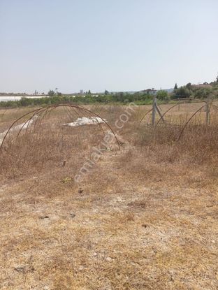 Evrenleryavsi De Satılık Tarla