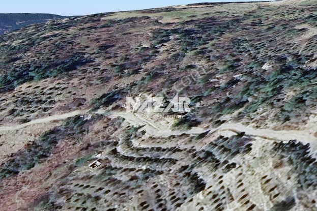 Alanya Yaylakonak’ta 296 M² Satılık Tarla