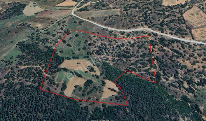 Yaylada Boş Tarla 53.300 M2 Aydın Karacasu