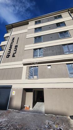 Quantum Plus Lüks Site