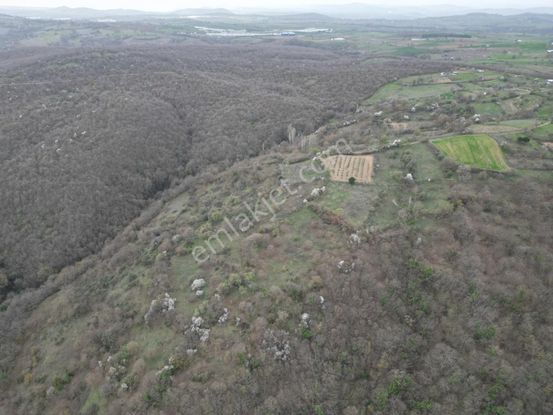 Esa Gayrimenkul'den Yaylabayır' Da Bağ