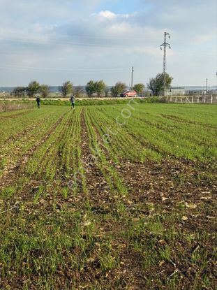 Vize Evrenlide Tepolama Alanı Seçilen Bölge Tek Tapu Tarla