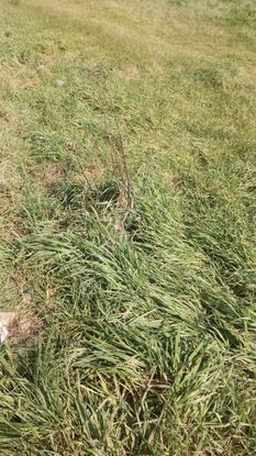 Kadıköy Suadiyede 830m Satılık Düşeş Kazandıracak Arsa No:437