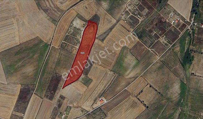 Turyap Hürriyetten M.ereğlisi Yeniçiflik 15.900 M2 Satılık Tarla